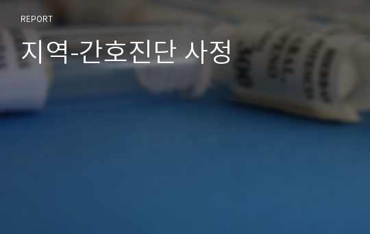 지역-간호진단 사정