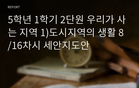 5학년 1학기 2단원 우리가 사는 지역 1)도시지역의 생활 8/16차시 세안지도안