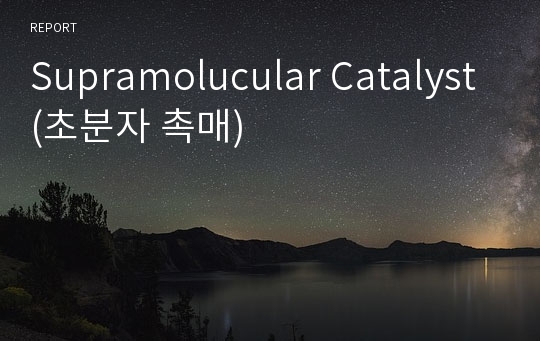 Supramolucular Catalyst (초분자 촉매)