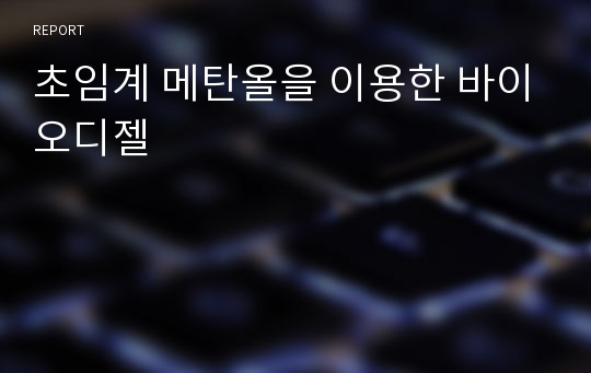 초임계 메탄올을 이용한 바이오디젤