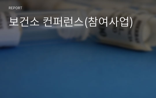 보건소 컨퍼런스(참여사업)