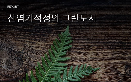 산염기적정의 그란도시