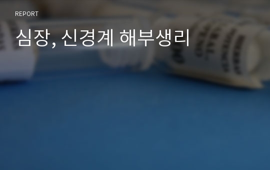 심장, 신경계 해부생리