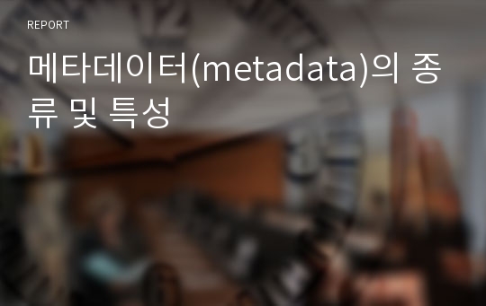 메타데이터(metadata)의 종류 및 특성
