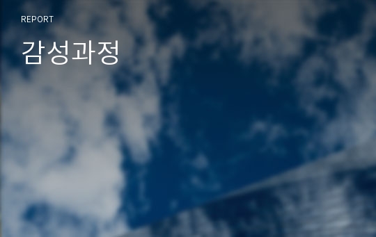 감성과정