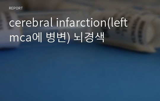 cerebral infarction(left mca에 병변) 뇌경색