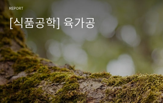 [식품공학] 육가공