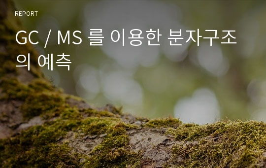 GC / MS 를 이용한 분자구조의 예측