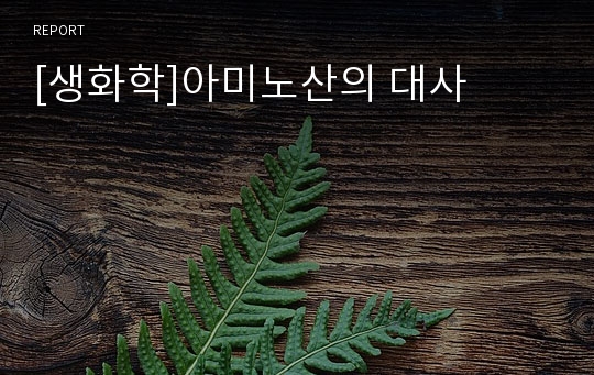 [생화학]아미노산의 대사