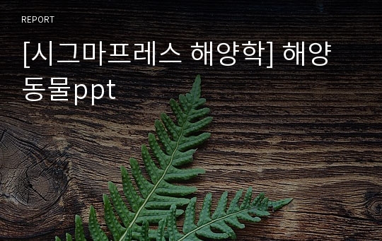 [시그마프레스 해양학] 해양동물ppt