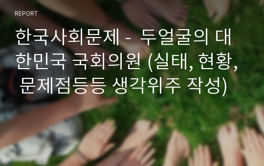 한국사회문제 -  두얼굴의 대한민국 국회의원 (실태, 현황, 문제점등등 생각위주 작성)