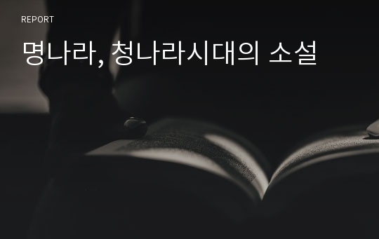 명나라, 청나라시대의 소설