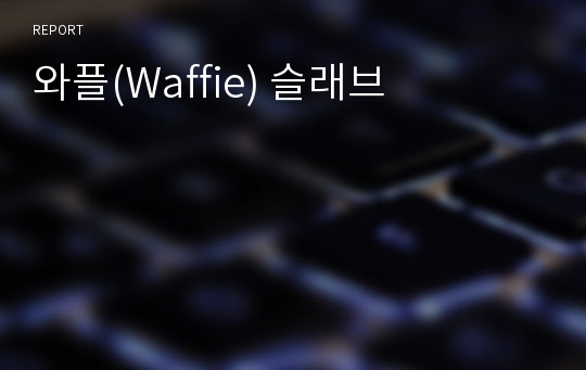 와플(Waffie) 슬래브