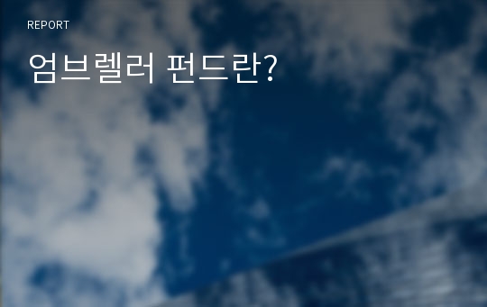 엄브렐러 펀드란?