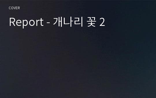 Report - 개나리 꽃 2