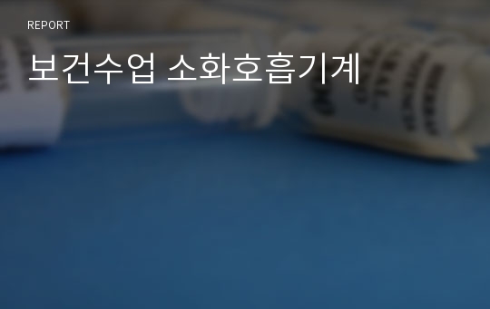 보건수업 소화호흡기계