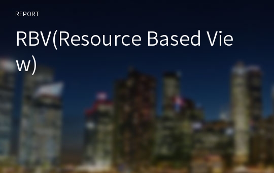 RBV(Resource Based View)