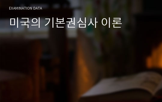 미국의 기본권심사 이론