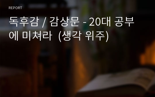 독후감 / 감상문 - 20대 공부에 미쳐라  (생각 위주)