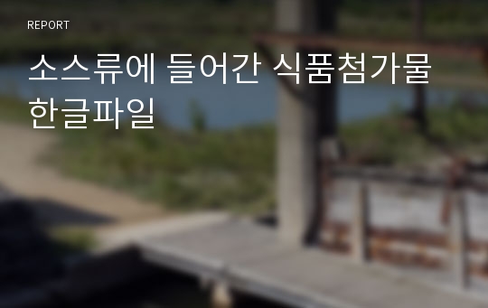 소스류에 들어간 식품첨가물 한글파일