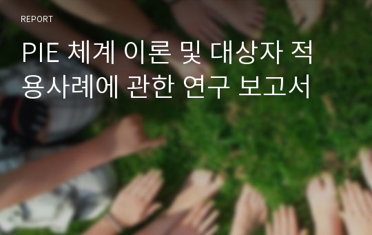 PIE 체계 이론 및 대상자 적용사례에 관한 연구 보고서