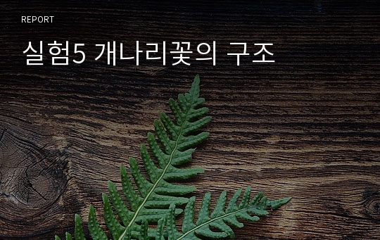 실험5 개나리꽃의 구조