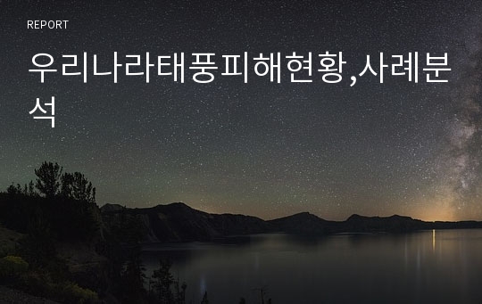 우리나라태풍피해현황,사례분석