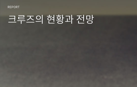 크루즈의 현황과 전망