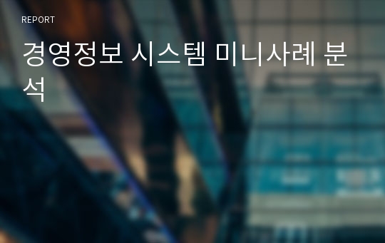 경영정보 시스템 미니사례 분석