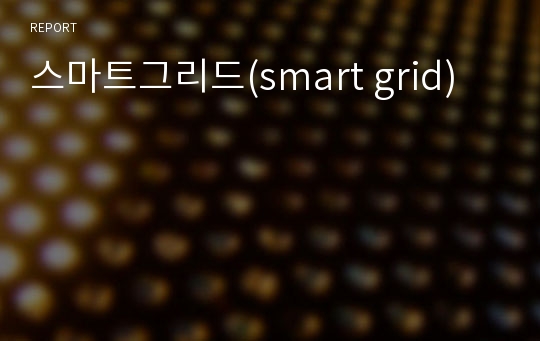 스마트그리드(smart grid)