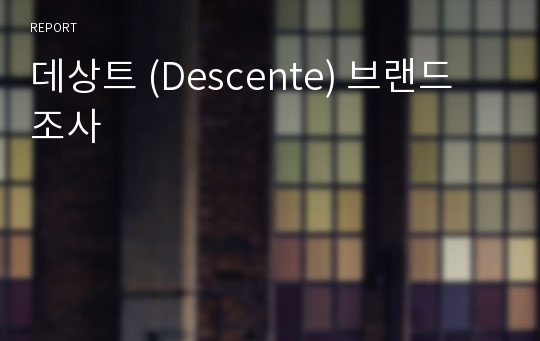 데상트 (Descente) 브랜드 조사