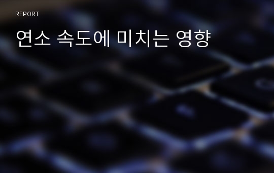 연소 속도에 미치는 영향