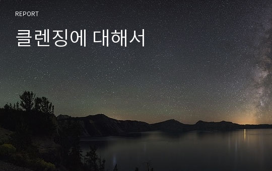 클렌징에 대해서