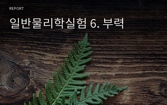 일반물리학실험 6. 부력