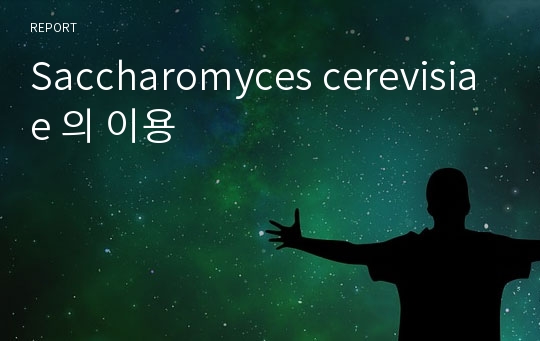 Saccharomyces cerevisiae 의 이용