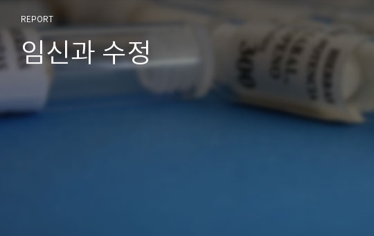 임신과 수정