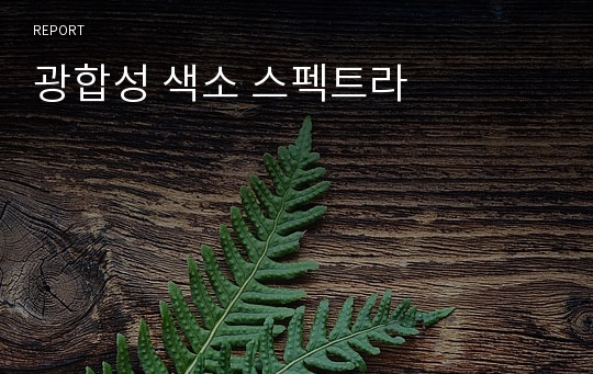 광합성 색소 스펙트라