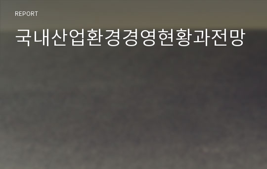 국내산업환경경영현황과전망