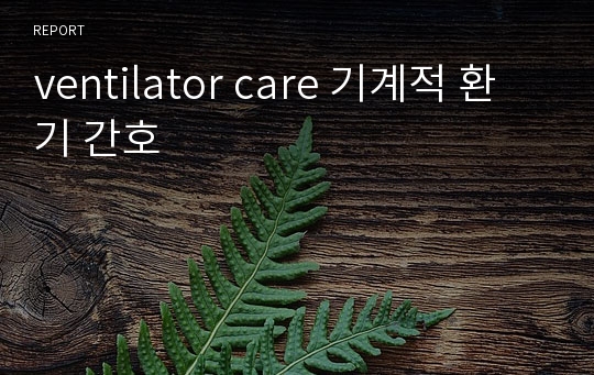 ventilator care 기계적 환기 간호