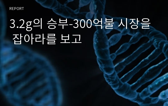 3.2g의 승부-300억불 시장을 잡아라를 보고