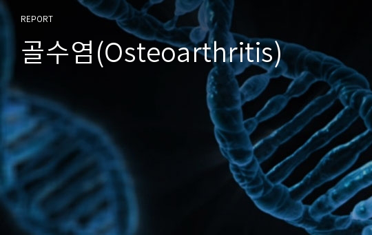 골수염(Osteoarthritis)