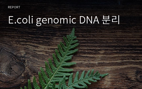 E.coli genomic DNA 분리