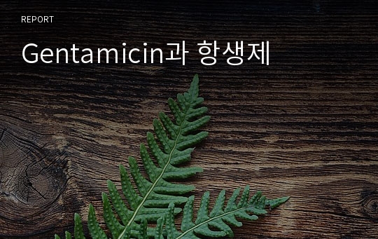 Gentamicin과 항생제