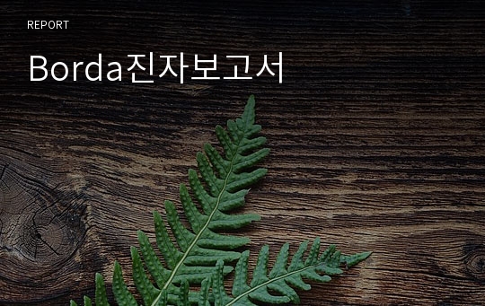 Borda진자보고서