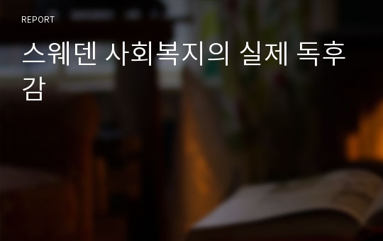 스웨덴 사회복지의 실제 독후감