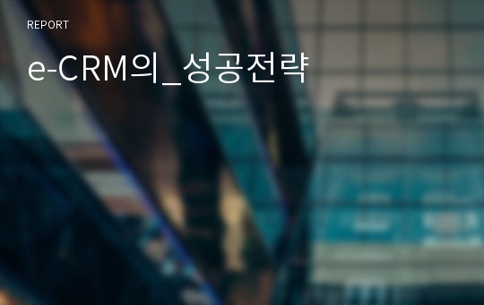 e-CRM의_성공전략