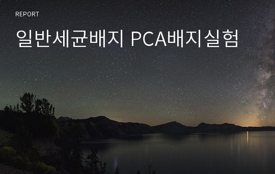 일반세균배지 PCA배지실험