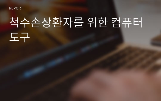 척수손상환자를 위한 컴퓨터도구