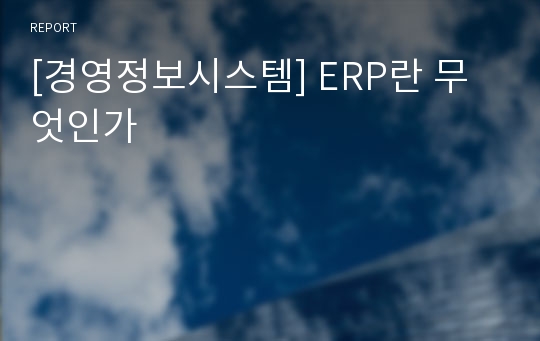 [경영정보시스템] ERP란 무엇인가