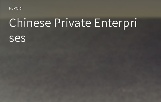 Chinese Private Enterprises